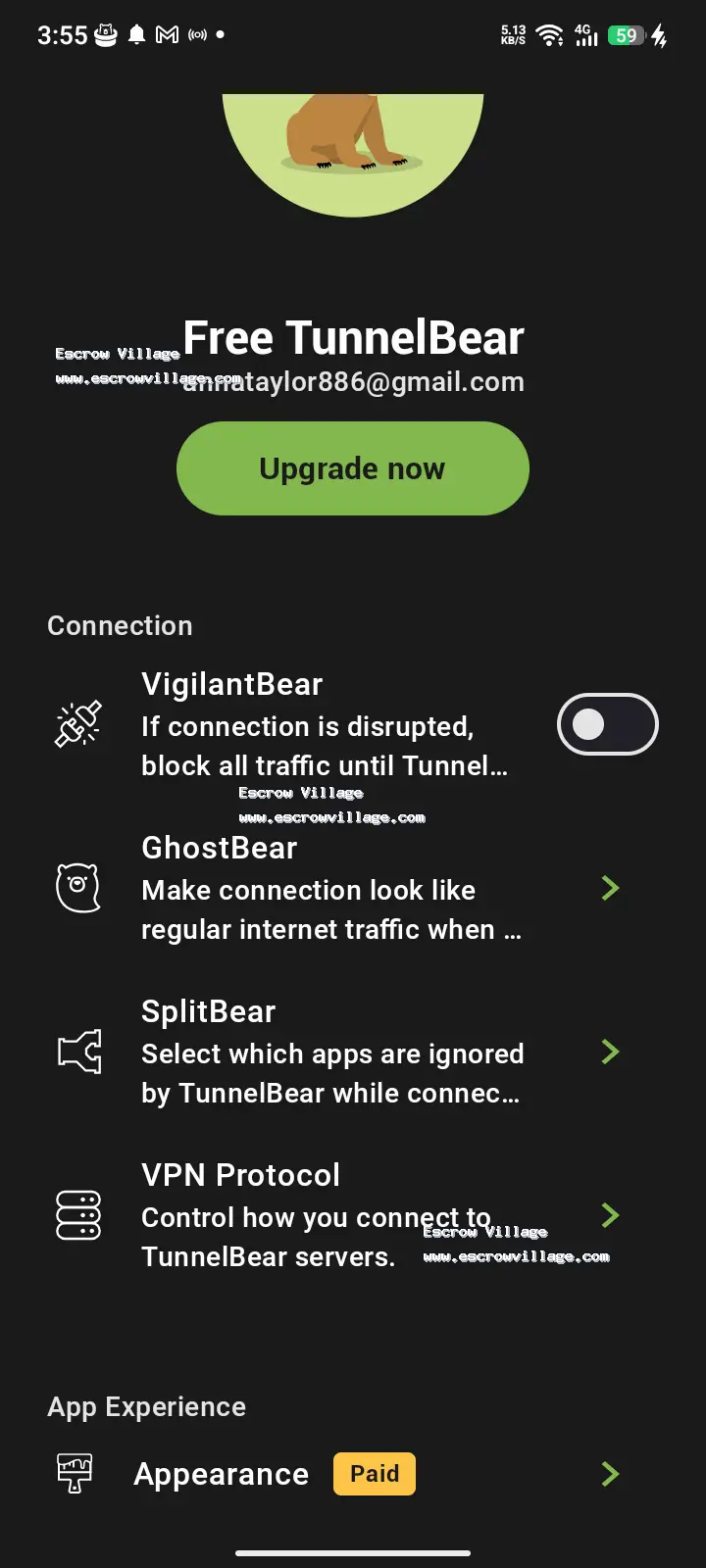 Tunnelbear Paid vpn